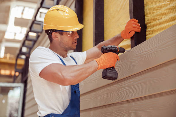 Best Siding Painting and Refinishing  in Heritage Pines, FL